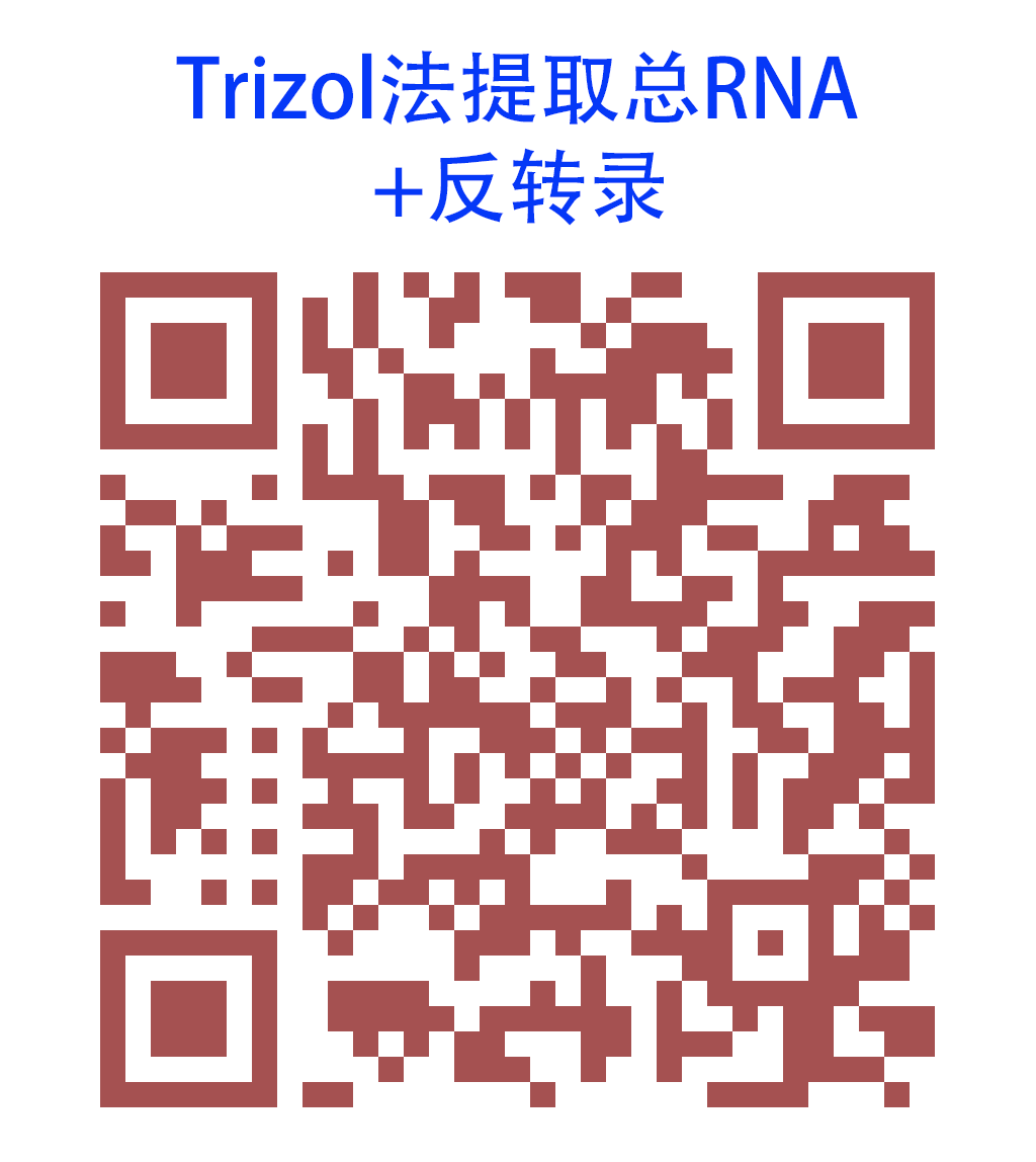 010 - Trizol法提取总RNA+反转录.png